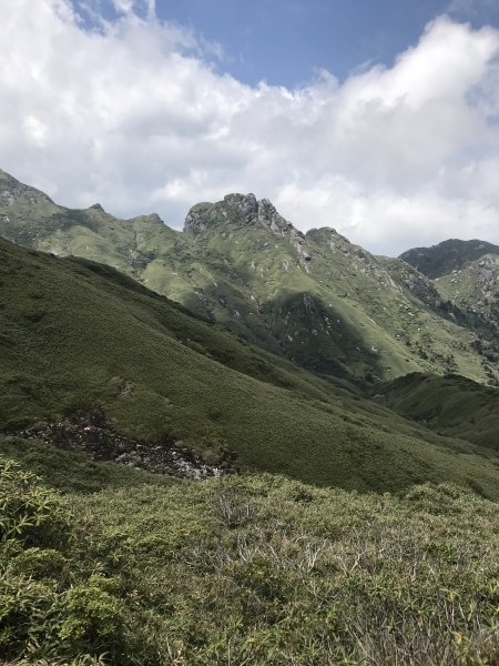 1965m 미야노우라다케(宮之浦岳) 산 정상에서 바로 본 능선이 초록의 신록으로 덮여있다.<br>